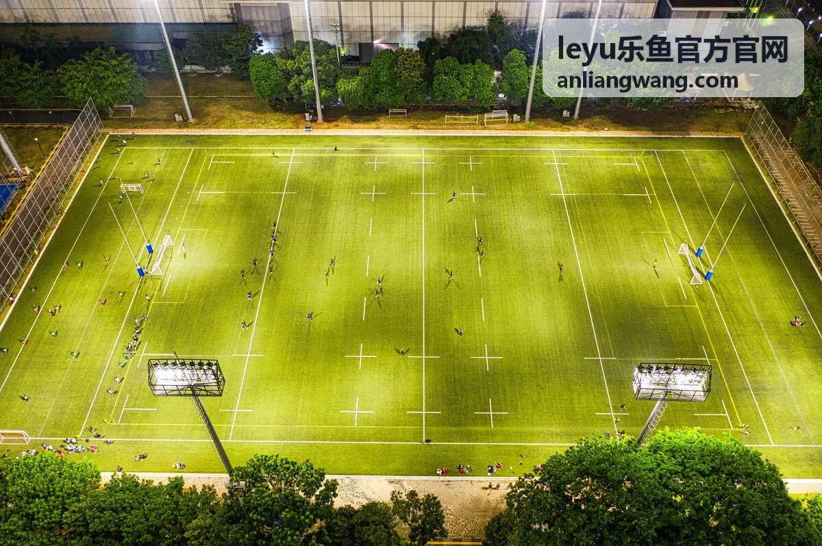 leyu乐鱼官方官网 品牌形象展示